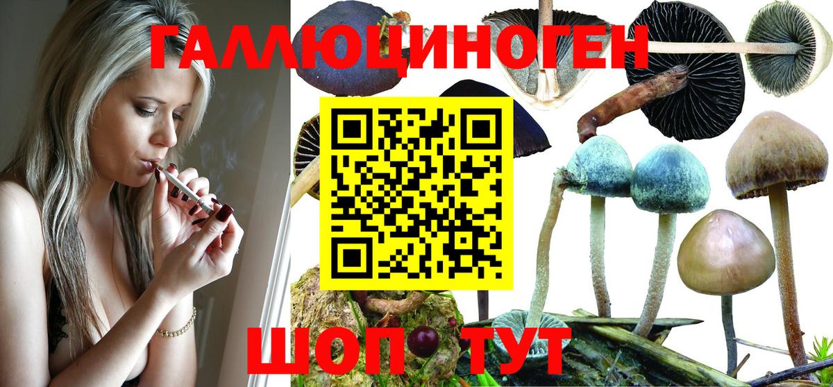 Первоуральск  Псилоцибиновые грибы GOLDEN TEACHER  Вход с VPN 